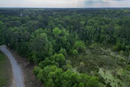 000 Murraywood Road photo 4