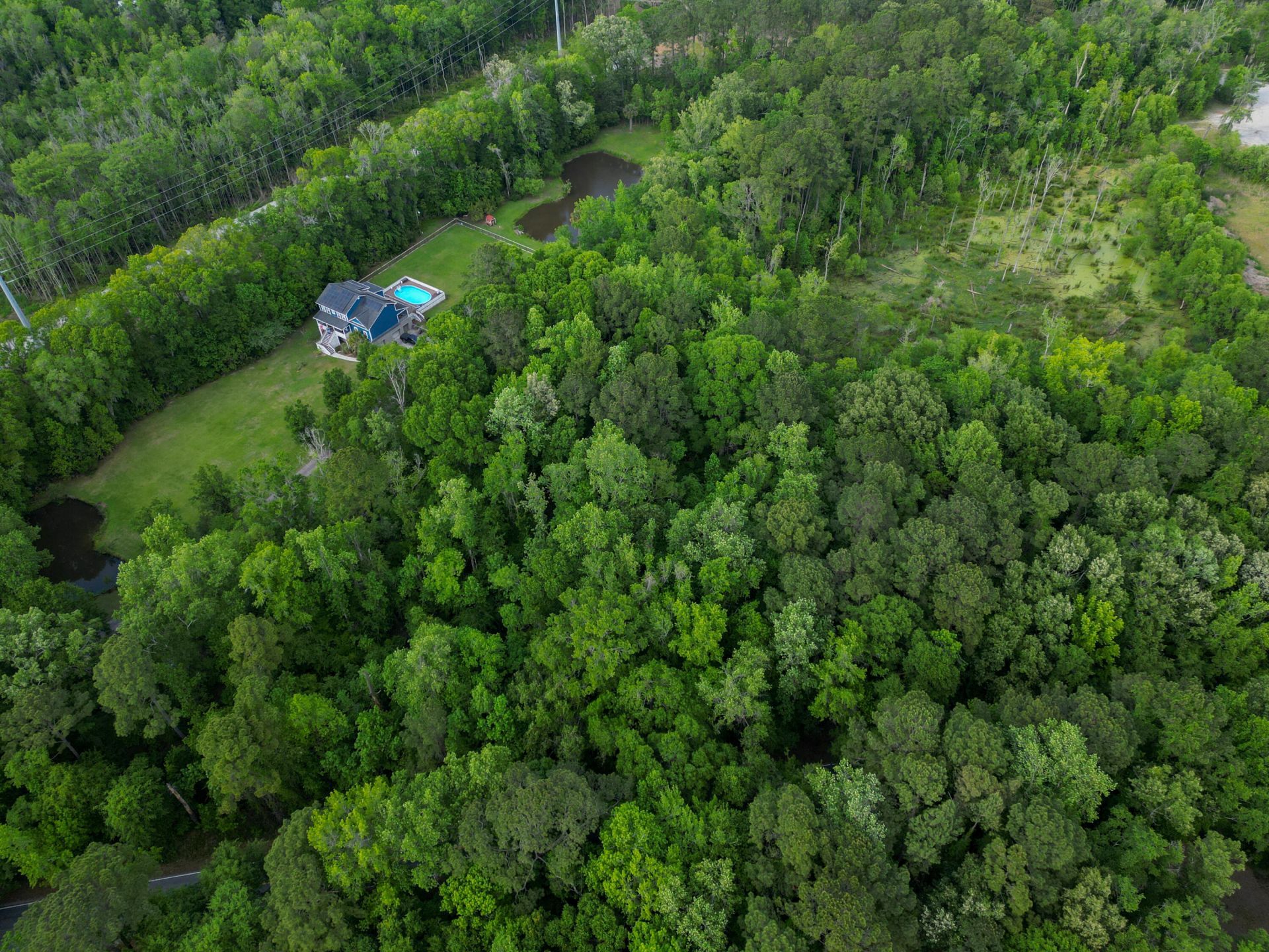 000 Murraywood Road Photo 23