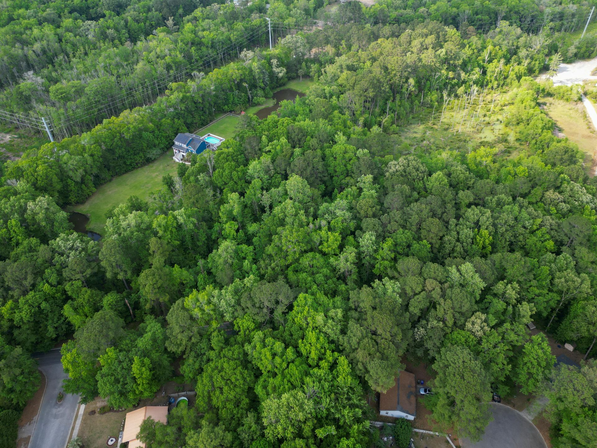 000 Murraywood Road Photo 25