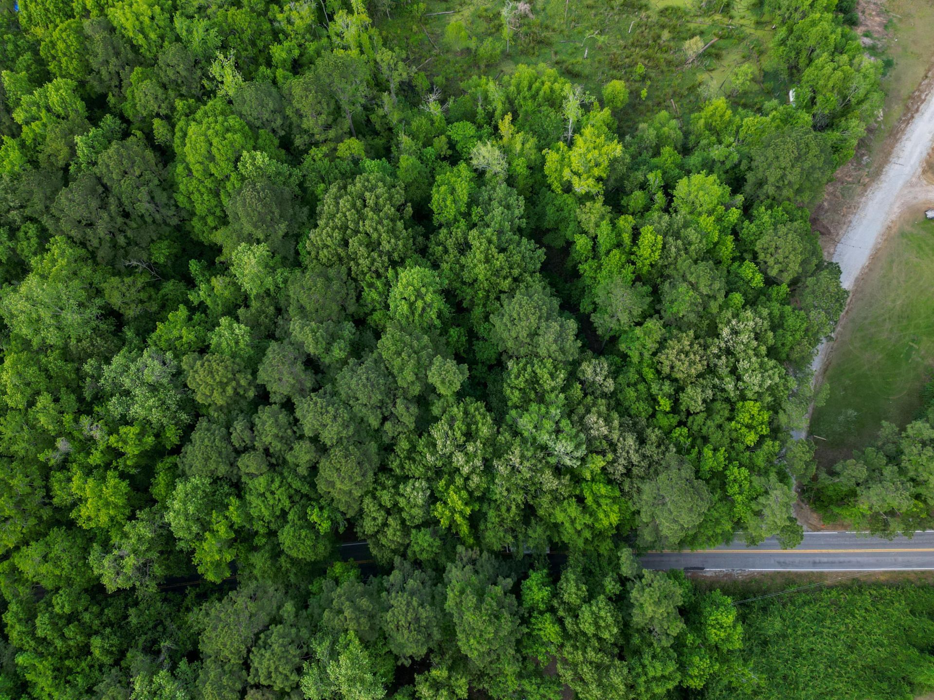 000 Murraywood Road Photo 5