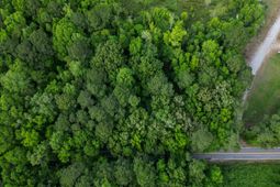 000 Murraywood Road photo 4