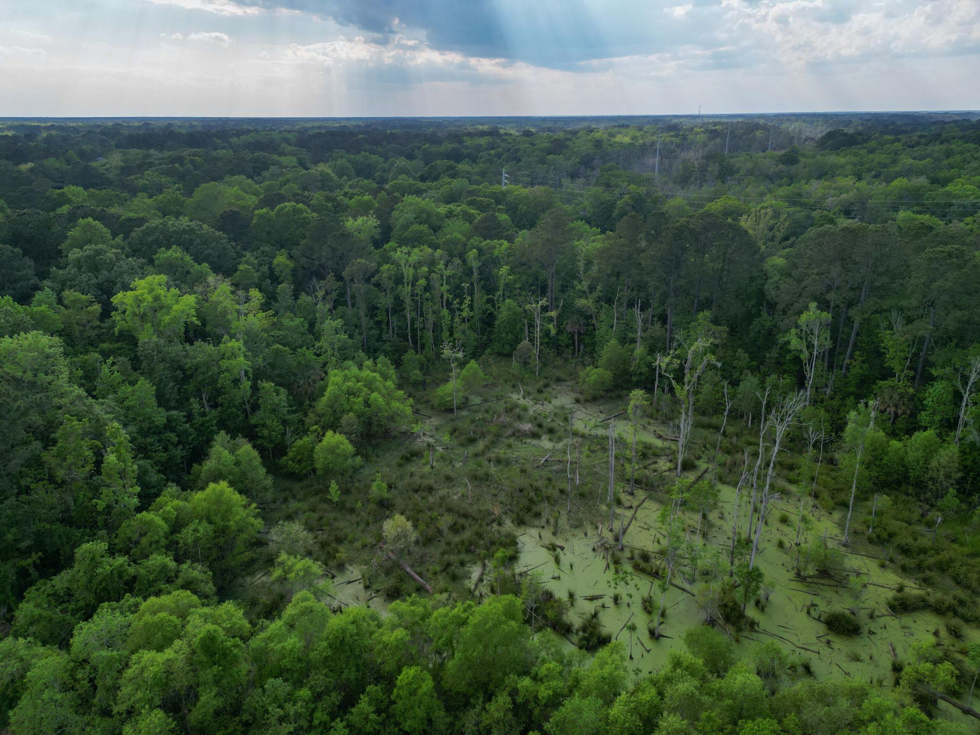 000 Murraywood Road Photo 7