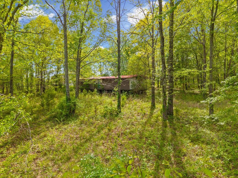 Property Image 26