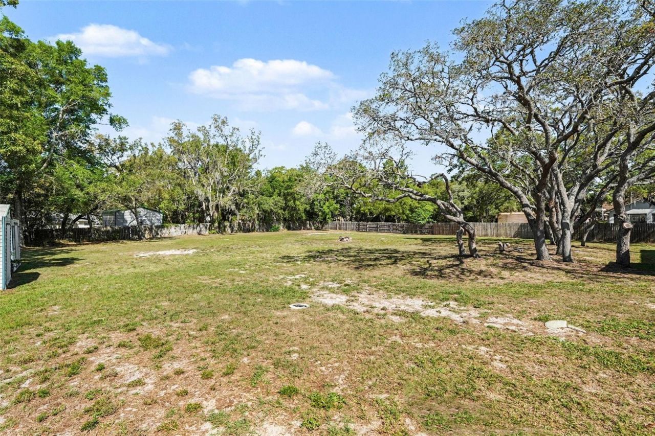 18731 Firethorn Drive, Spring Hill, FL 34610 Photo
