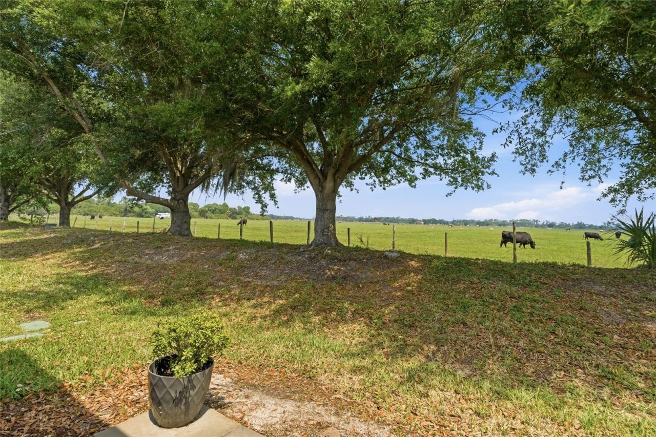 8834 Tuscany Isles Drive, Punta Gorda, FL 33950 Photo