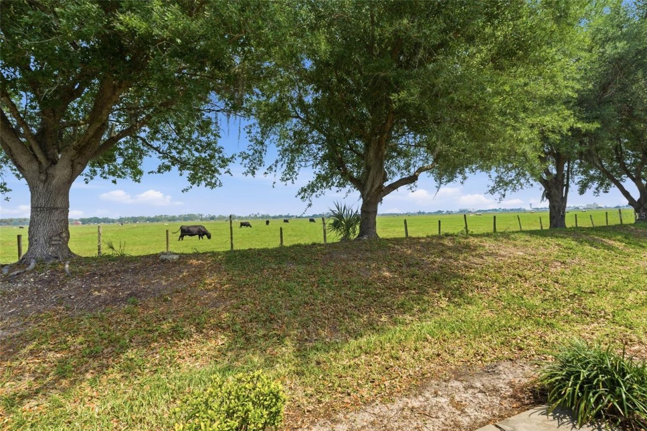 8834 Tuscany Isles Drive, Punta Gorda, FL 33950 Photo