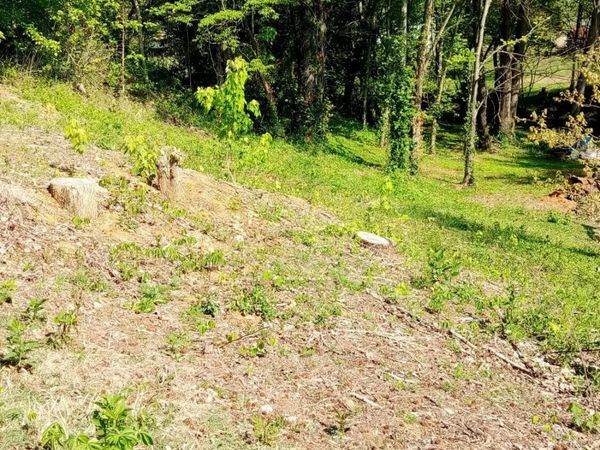 655 Sioux Trail, Greeneville, TN 37743