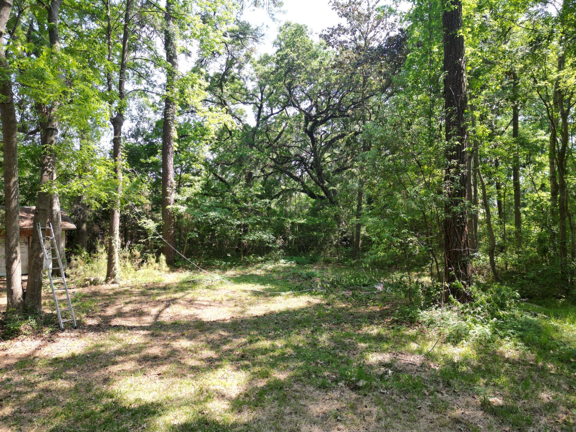 1738 Dogwood Road Photo 6