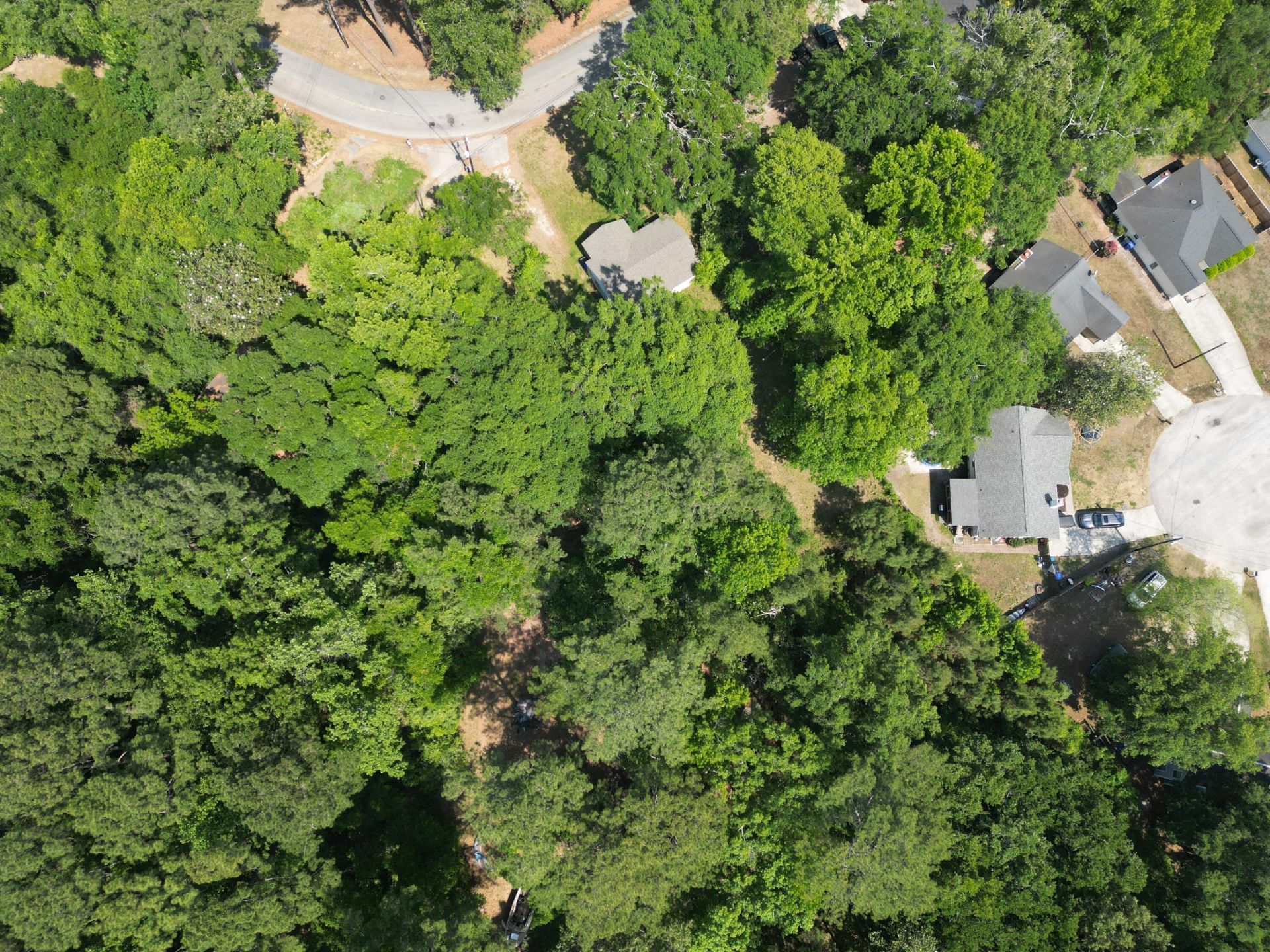 1738 Dogwood Road Photo 7