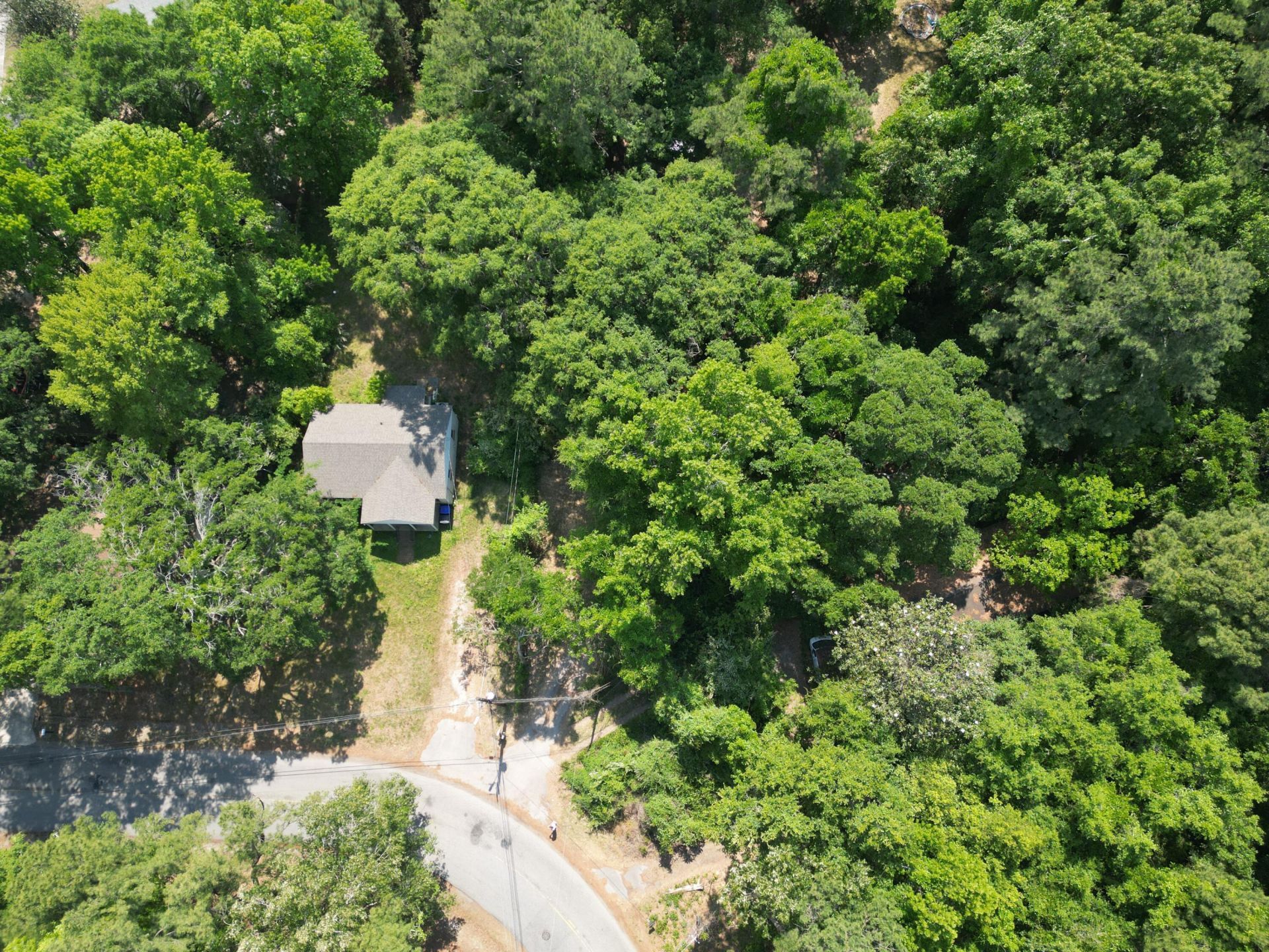 1738 Dogwood Road Photo 8