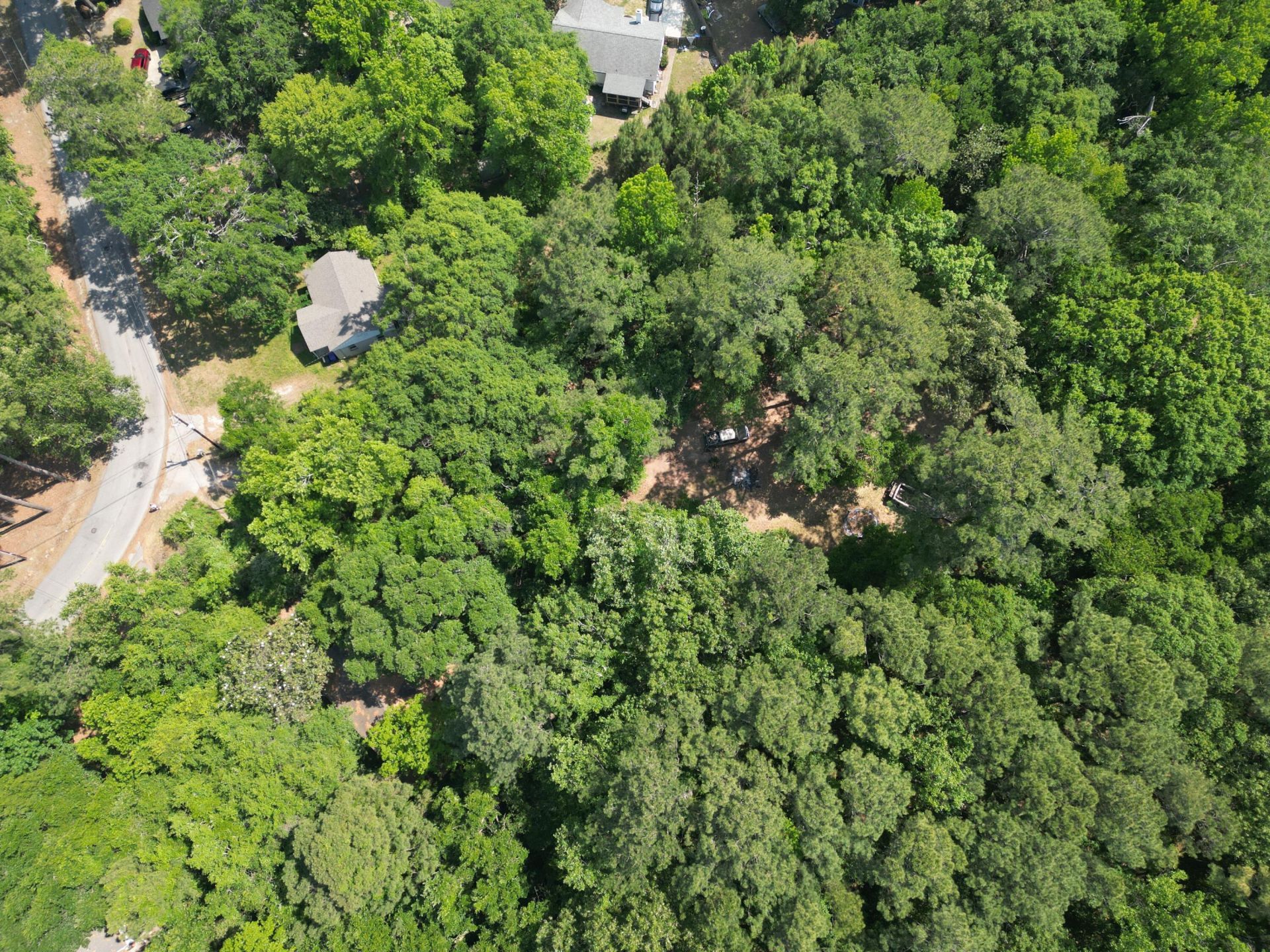 1738 Dogwood Road Photo 9