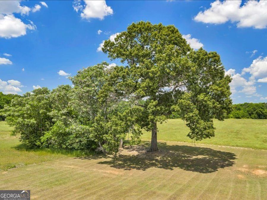 Property Image 68