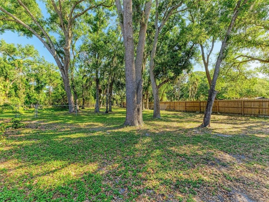 Property Image 64
