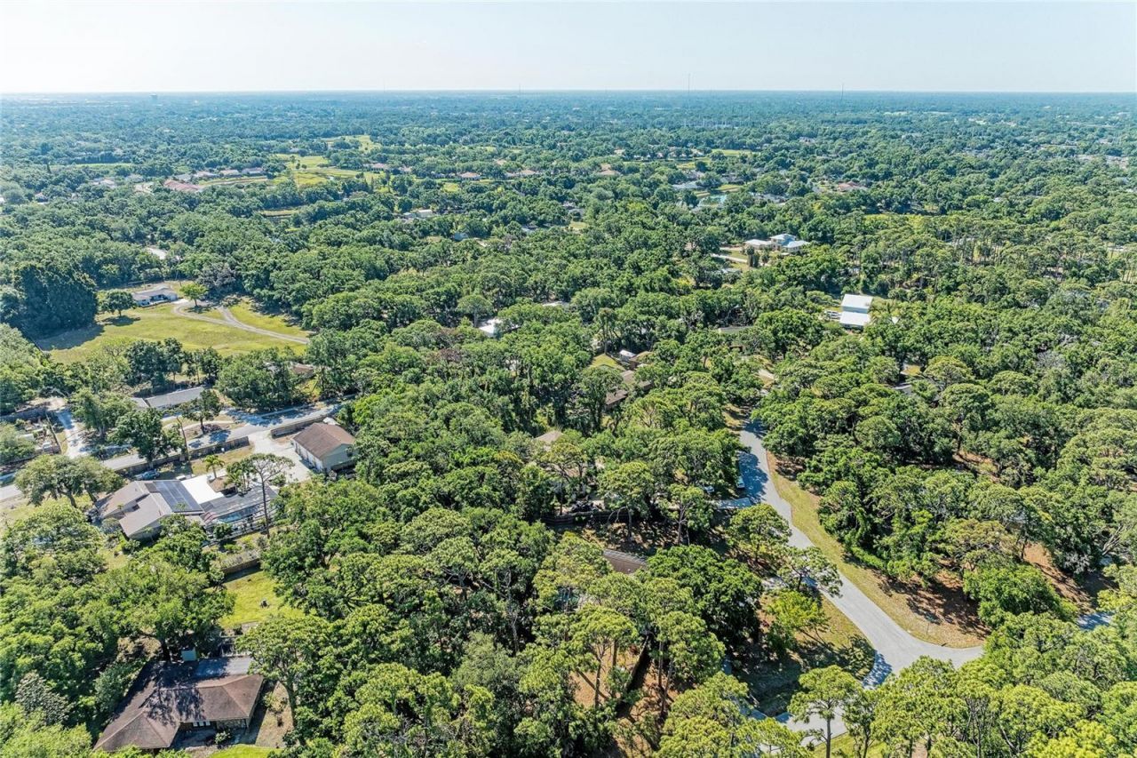 4328 Lost Forest Lane, Sarasota, FL 34235 Photo