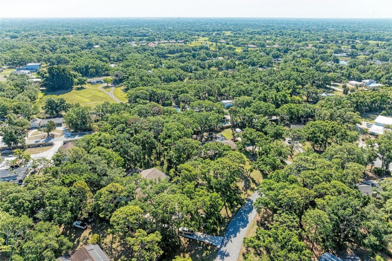 4328 Lost Forest Lane, Sarasota, FL 34235 Photo