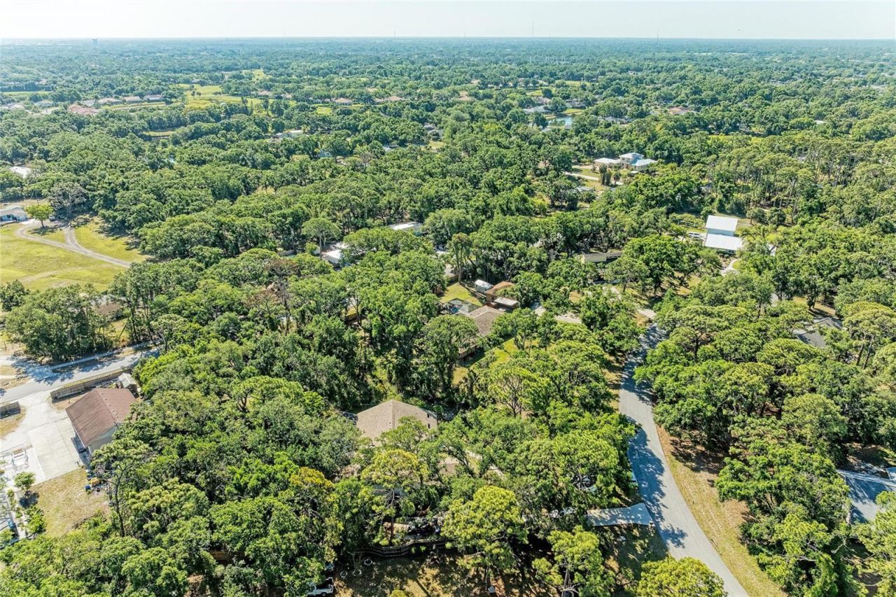 4328 Lost Forest Lane, Sarasota, FL 34235 Photo