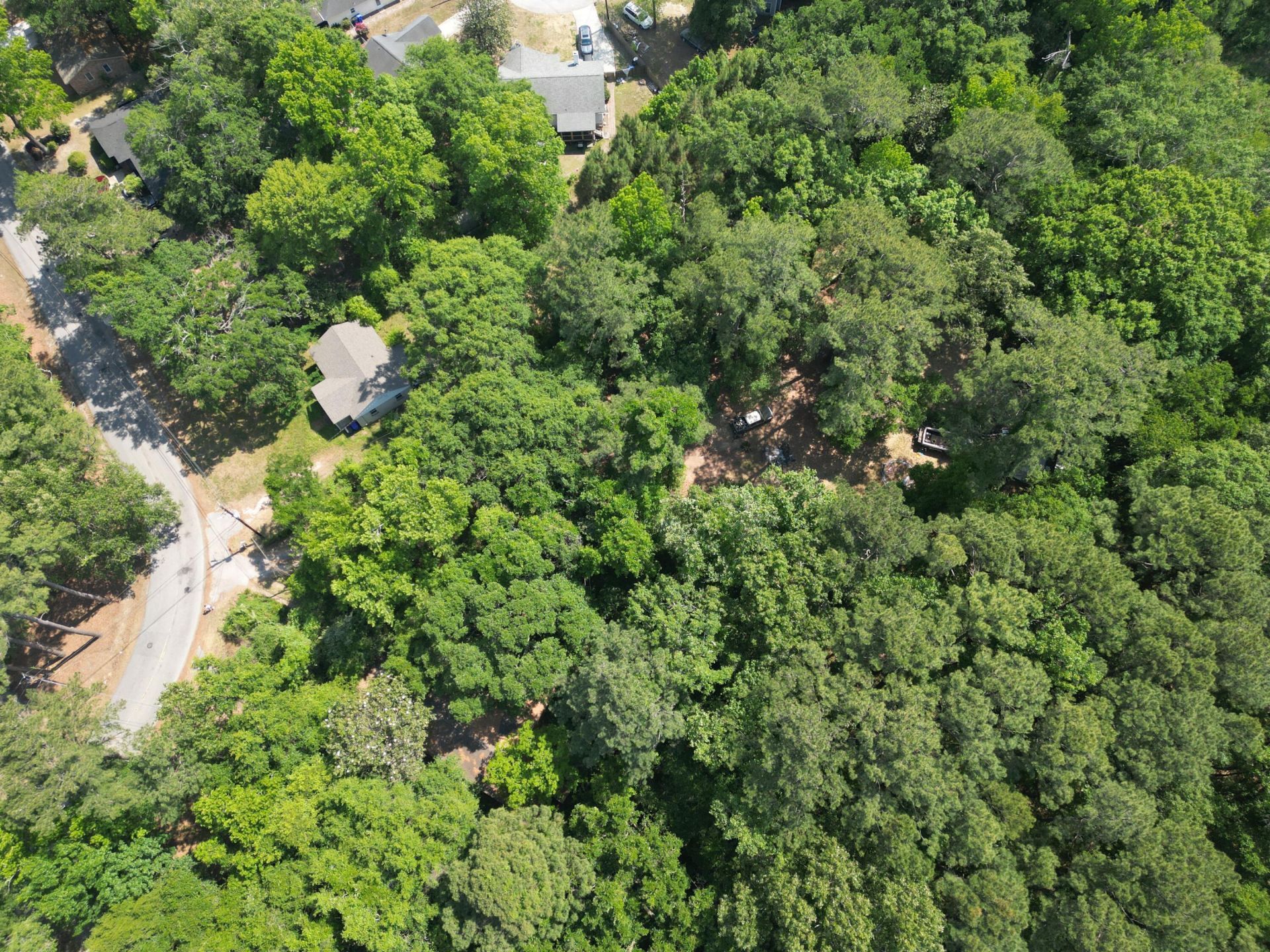 1740 Dogwood Road Photo 4