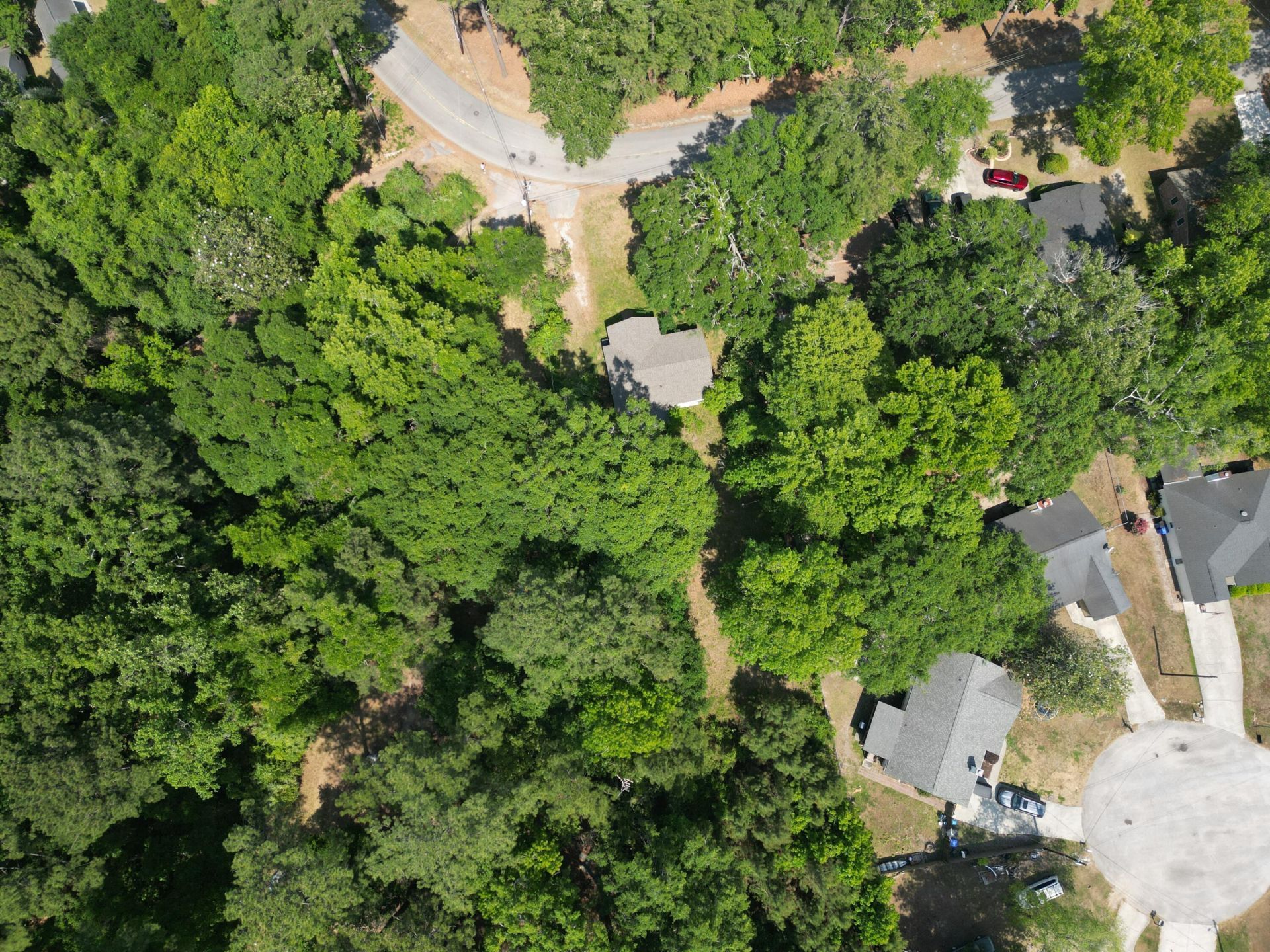 1740 Dogwood Road Photo 7