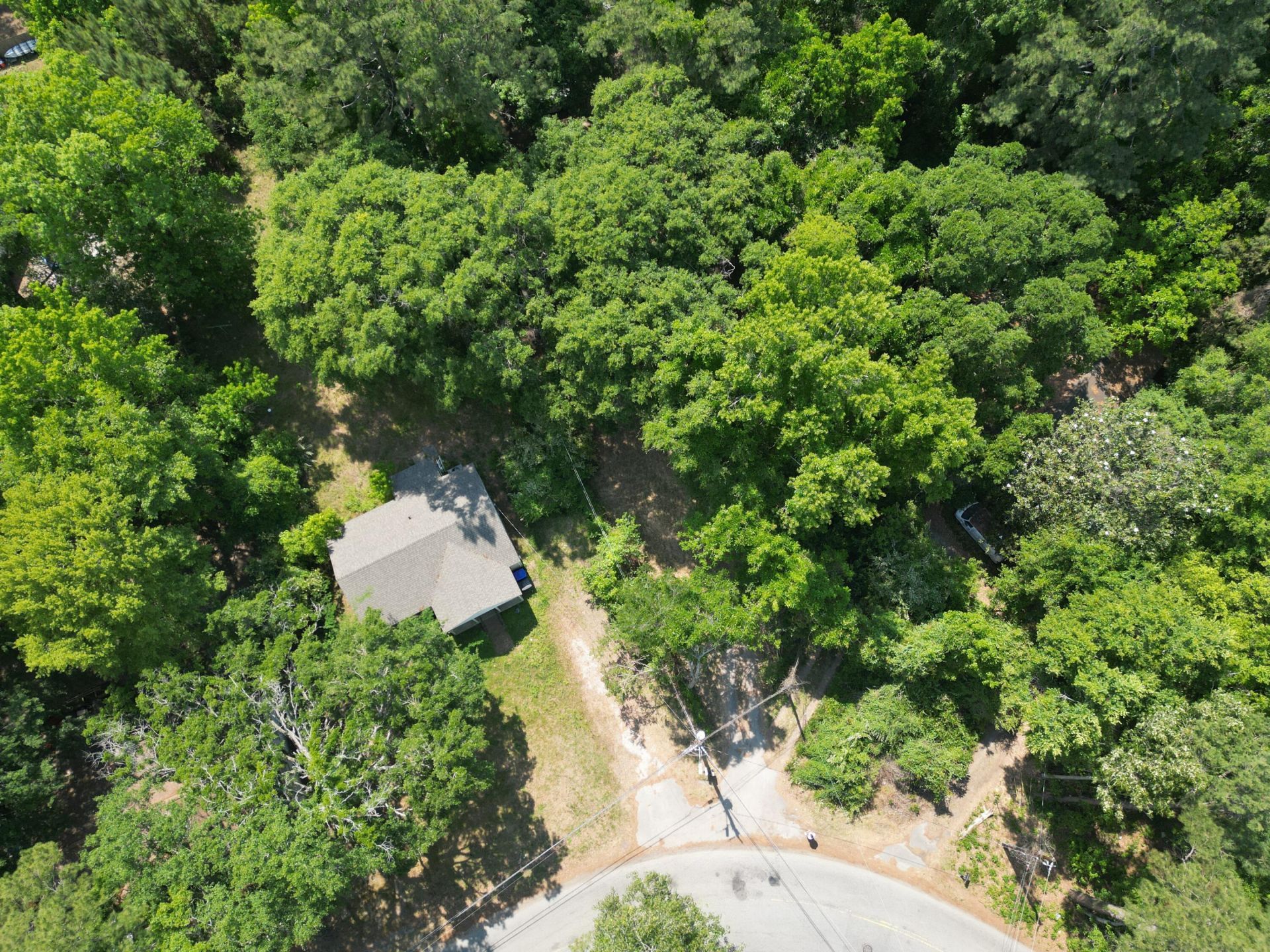 1740 Dogwood Road Photo 8