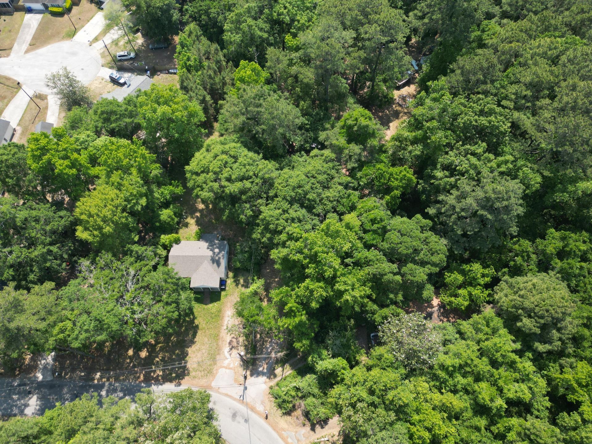 1740 Dogwood Road Photo 9