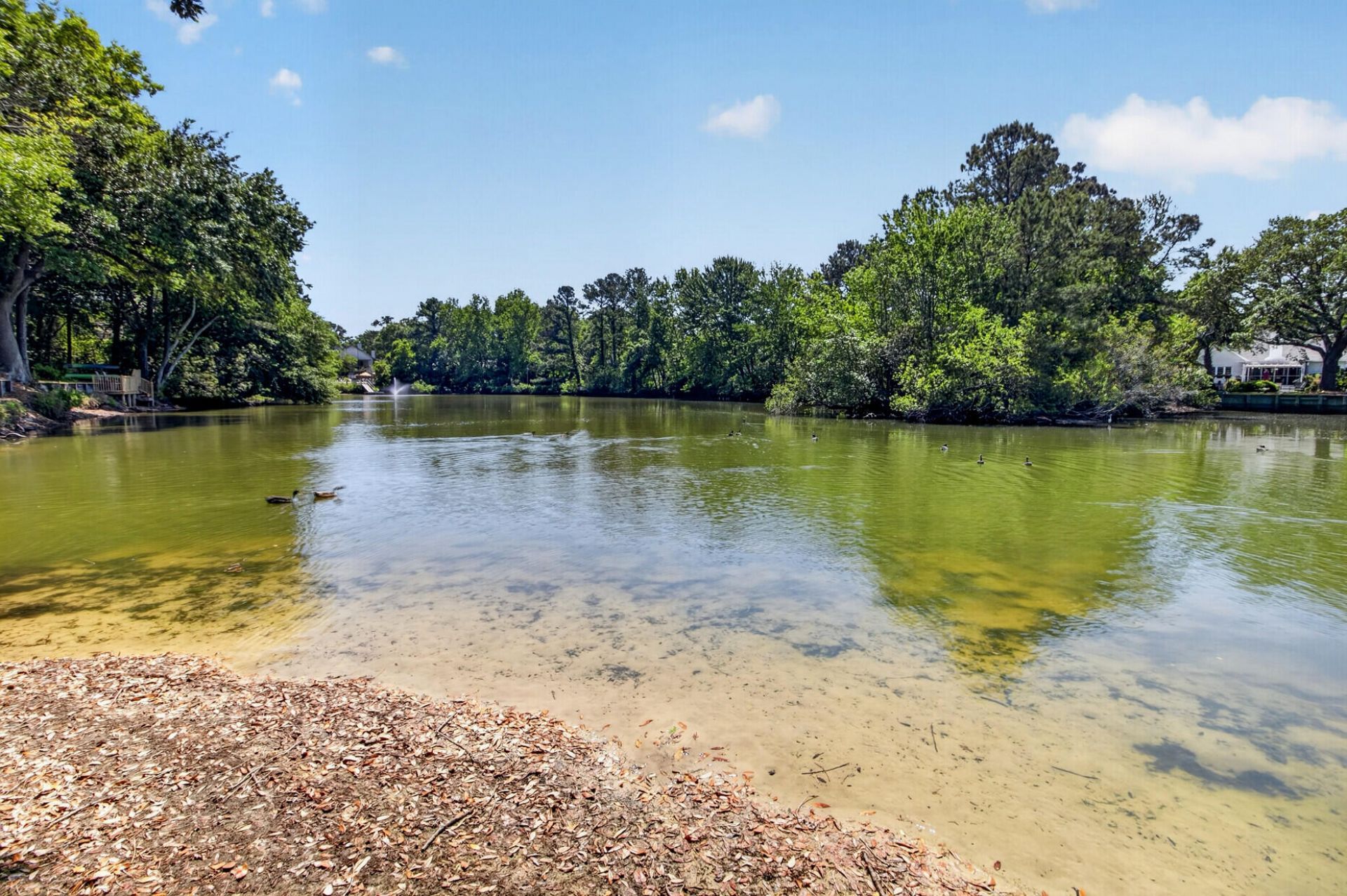 691 Blue Heron Run Photo 38