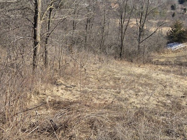 Lt01 Little Elkhart Lake Rd, Rhine, WI 53020
