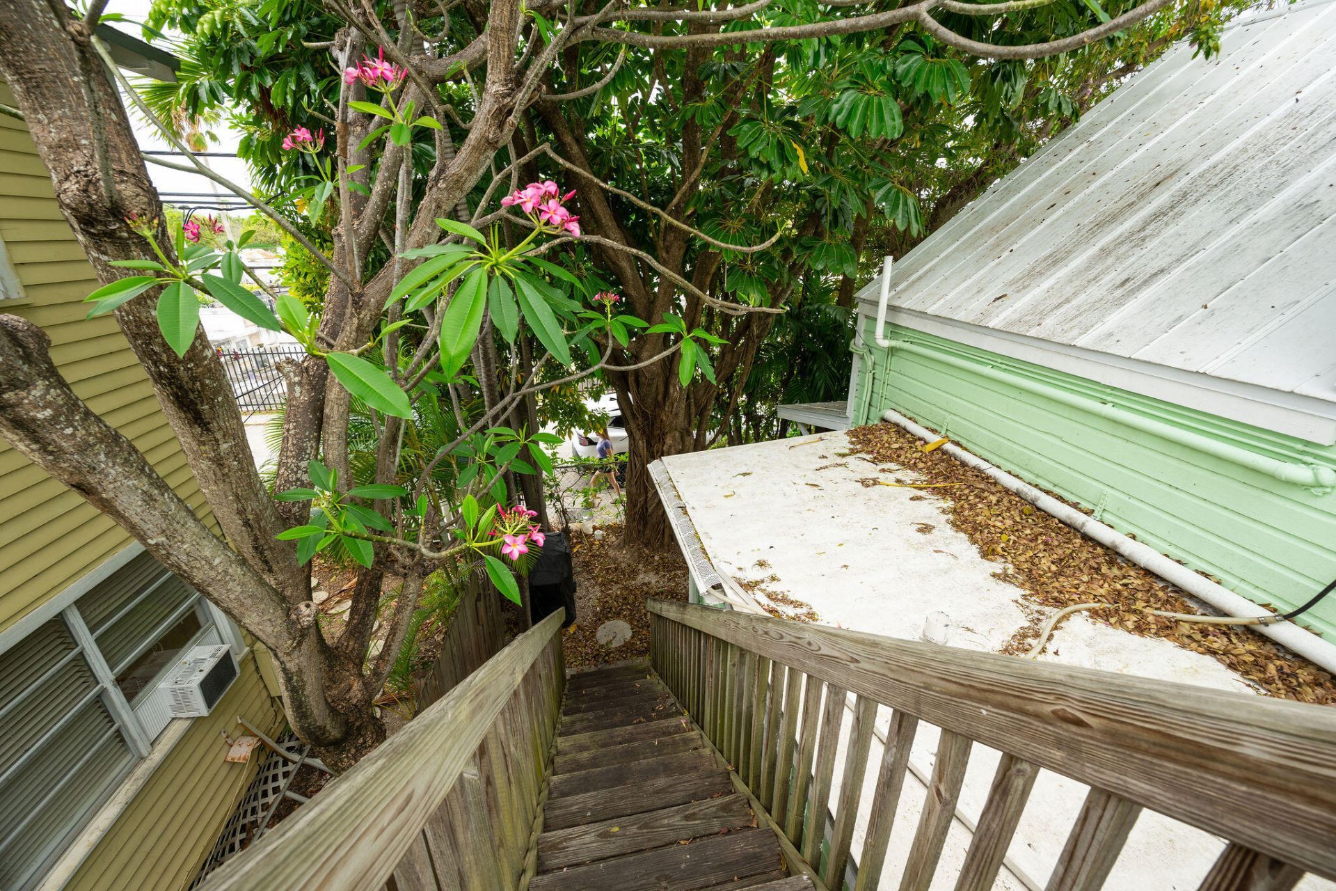 846 Olivia Street, Key West, FL 33040 Photo