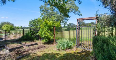 701 Selkirk Ranch, Angels Camp, CA 95222 Photo