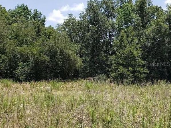 2412 VAN BUREN STREET , INVERNESS, FL 34453