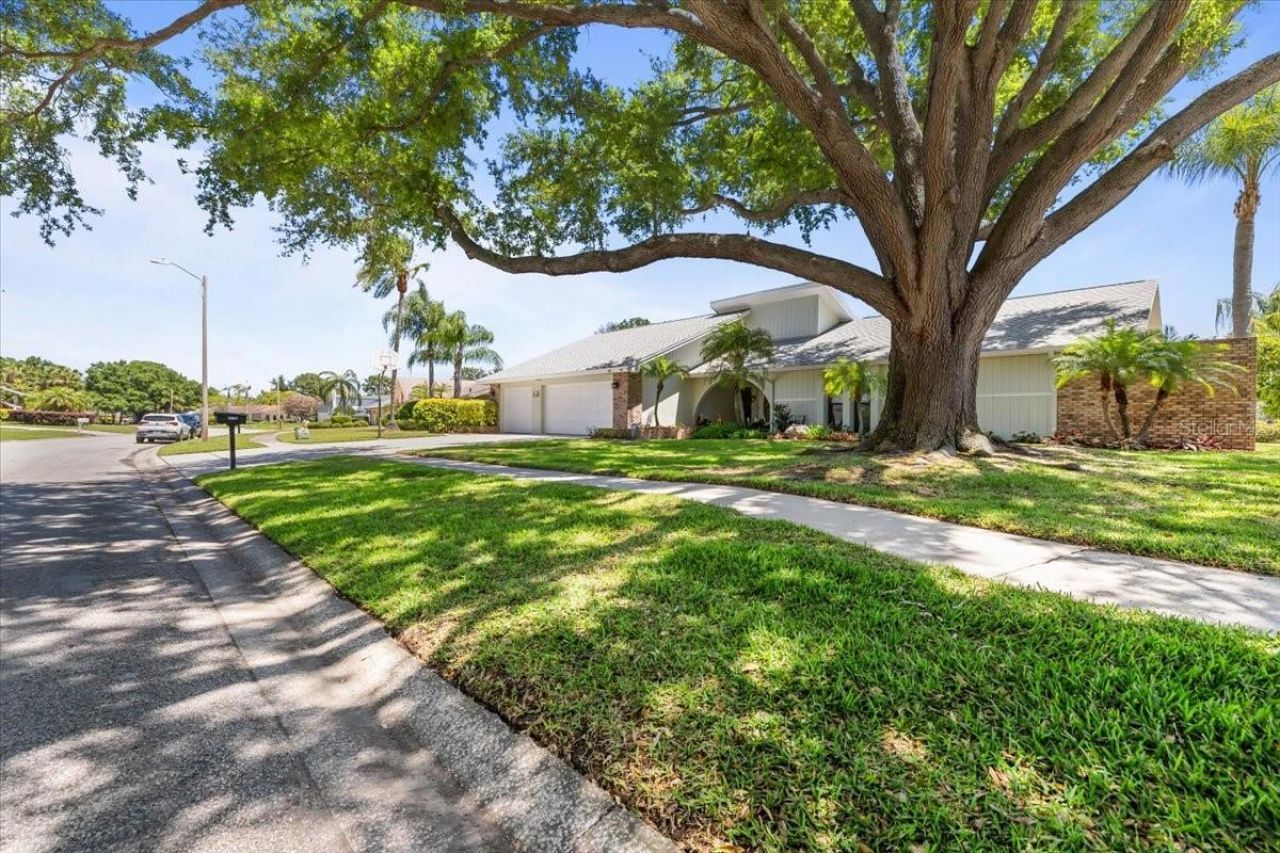 3111 Hyde Park Drive, Clearwater, FL 33761 Photo