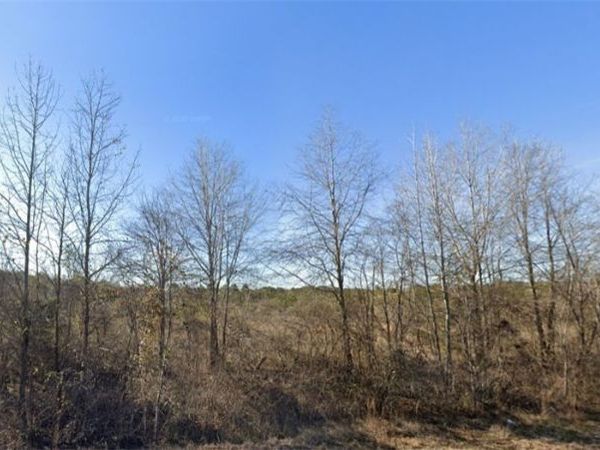 0000 Claude Jackson 35 , Aliceville, AL 35442