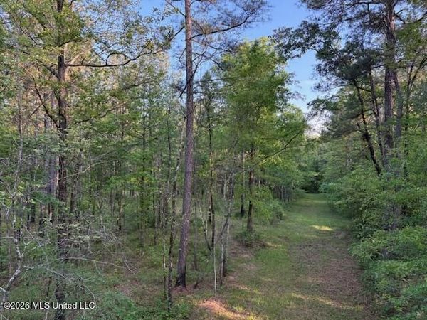 Mudline Road, Lake, MS 39092