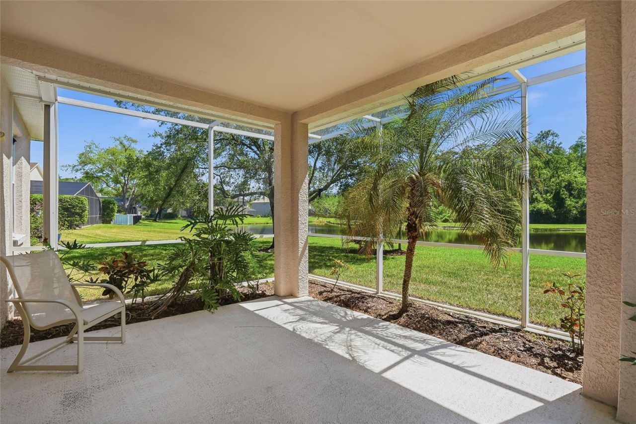 12514 Loquat Way, Tampa, FL 33626 Photo
