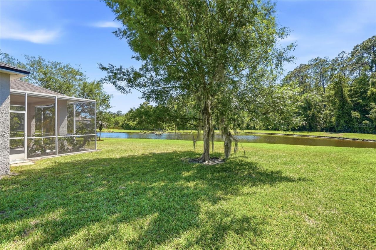 12514 Loquat Way, Tampa, FL 33626 Photo