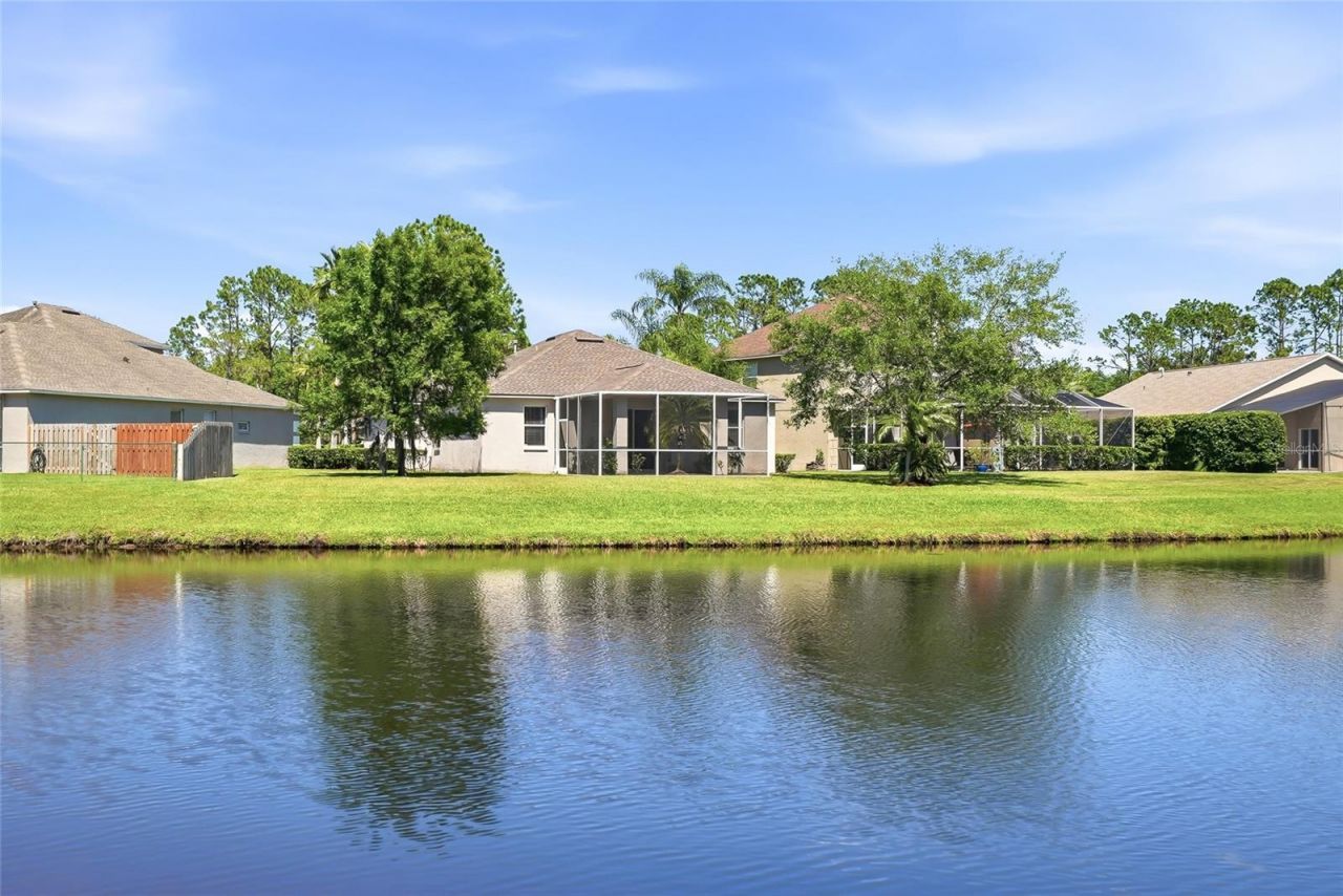 12514 Loquat Way, Tampa, FL 33626 Photo