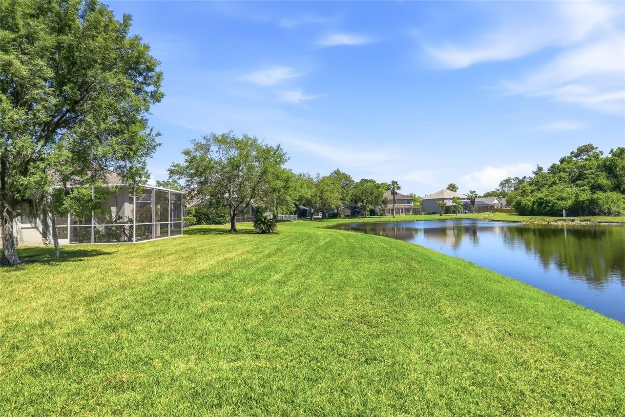12514 Loquat Way, Tampa, FL 33626 Photo