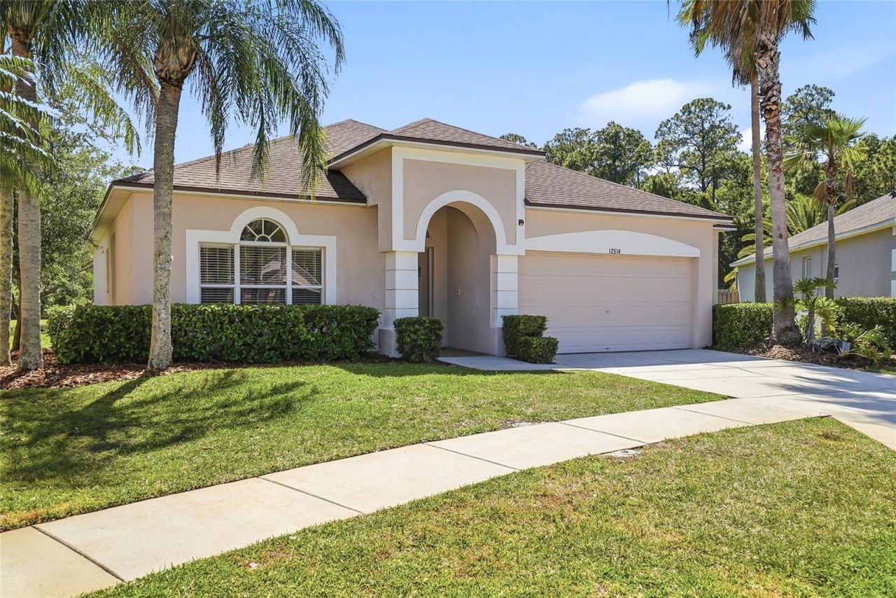 12514 Loquat Way, Tampa, FL 33626 Photo