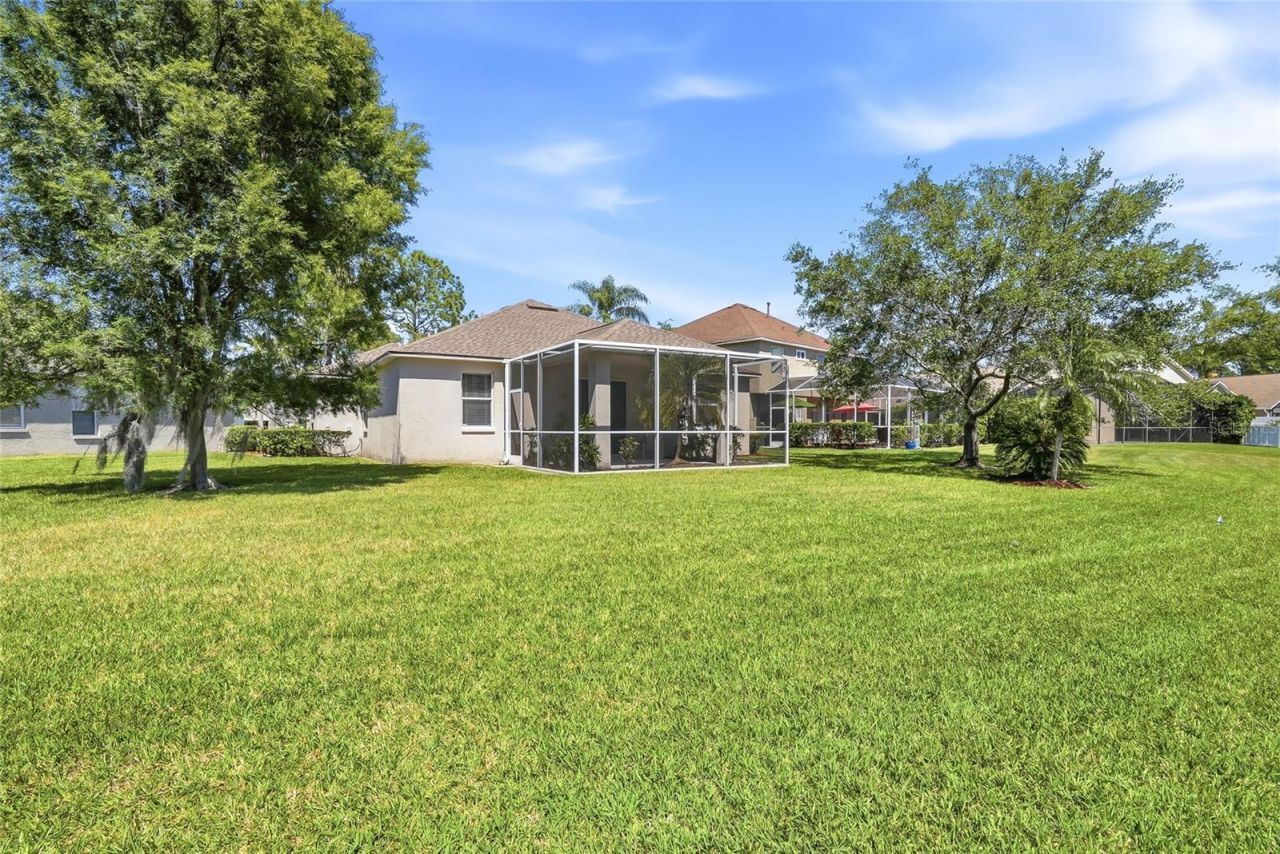 12514 Loquat Way, Tampa, FL 33626 Photo