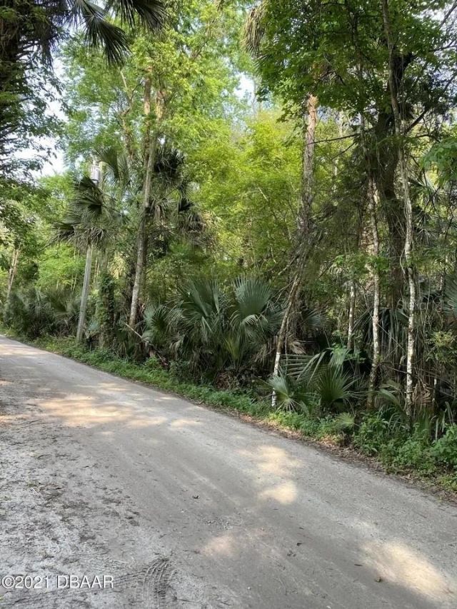 1877 Turtle Hill Road , Deltona, FL 32725 Photo