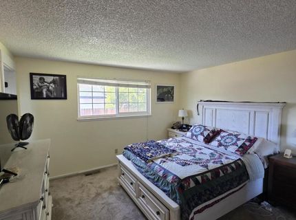 1390 Elges Avenue, Gardnerville, NV 89410 Photo