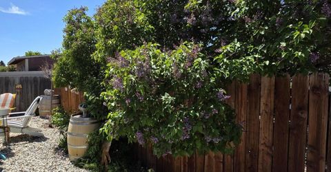 1390 Elges Avenue, Gardnerville, NV 89410 Photo