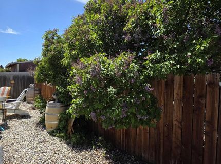 1390 Elges Avenue, Gardnerville, NV 89410 Photo