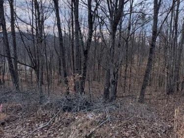 3.31 King Mountain Road, Unit 3.31, Williamsburg, KY 40769