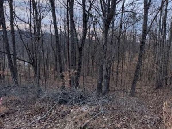 3.31 King Mountain Road, Unit 3.31, Williamsburg, KY 40769