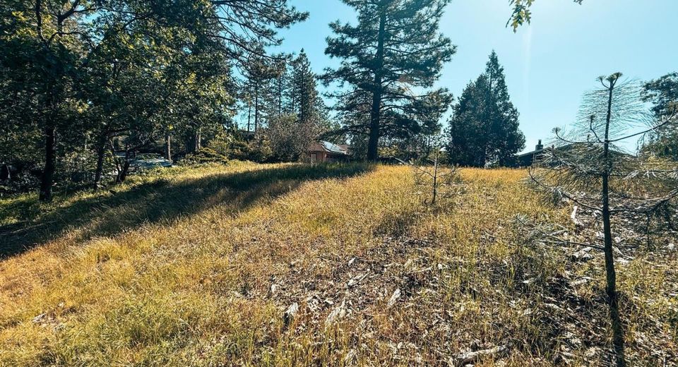 1140 Sandalwood Dr, Murphys, CA 95247 Photo