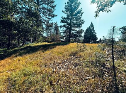 1140 Sandalwood Dr, Murphys, CA 95247 Photo