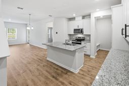 210 Twinleaf Court photo 4