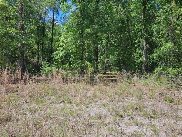 TBD 85TH ROAD, Live Oak, FL 32060