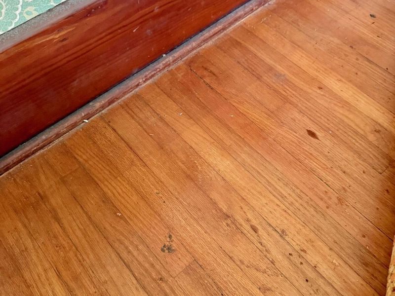 15825 State Route 207, Mount Sterling, OH 43143 Photo 8