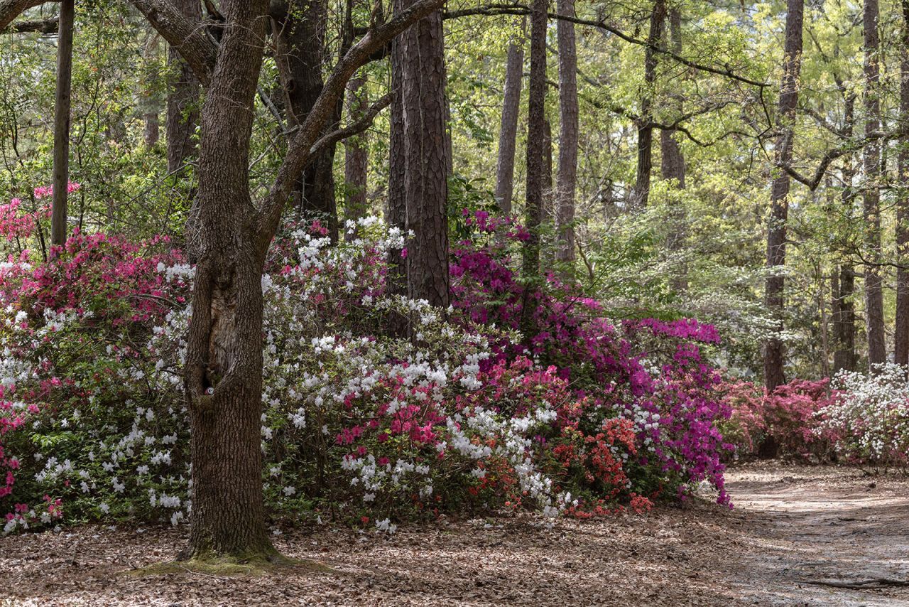 115 Old Postern Road Photo 77